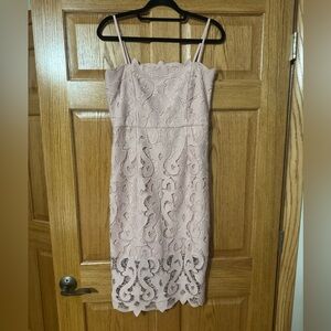 Bardot Blush Lace Sheath Dress